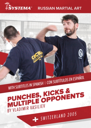 Punches, Kicks, and Multiple Opponents with Spanish Subtitles (downloadable)